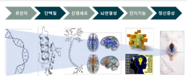 정신증상 관계 모식도